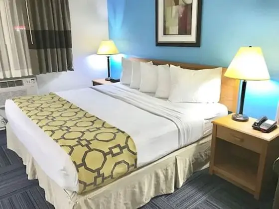 Deluxe Stüdyo Süit, 1 En Büyük (King) Boy Yatak, Sigara İçilmez