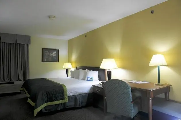 Oda, 1 En Büyük (King) Boy Yatak, Sigara İçilmez