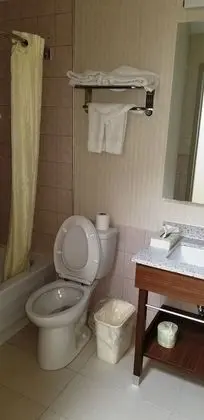Oda, 1 Büyük (Queen) Boy Yatak, Sigara İçilmez
