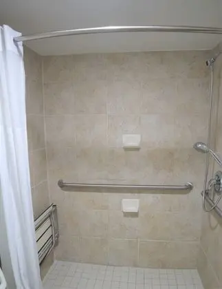 Süit, 1 En Büyük (King) Boy Yatak, Engellilere Uygun, Sigara İçilmez (One-Bedroom, Mobility)