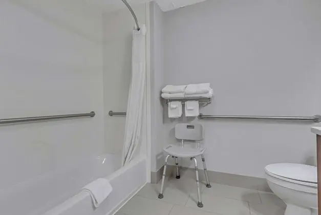 Oda, 1 En Büyük (King) Boy Yatak, Sigara İçilmez (Mobility Accessible)