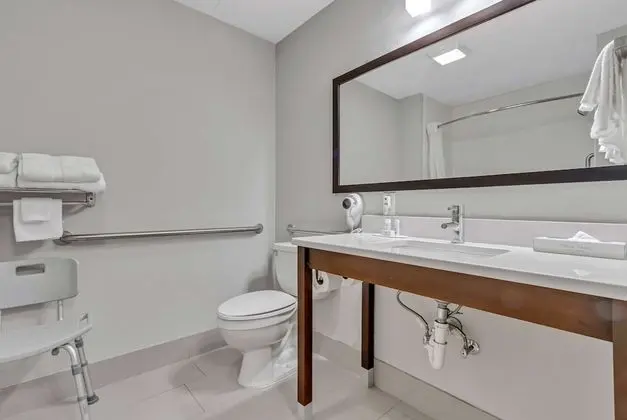 Oda, 1 En Büyük (King) Boy Yatak, Sigara İçilmez (Mobility Accessible)