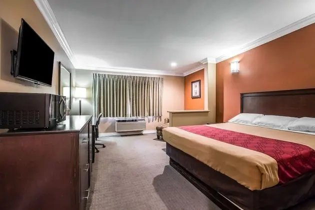 Deluxe Stüdyo Süit, 1 En Büyük (King) Boy Yatak, Sigara İçilmez