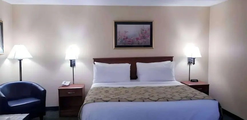 Standard Oda, 1 En Büyük (King) Boy Yatak, Sigara İçilmez, Balkon