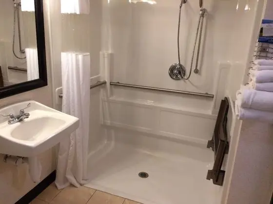 Oda, 1 Büyük (Queen) Boy Yatak, Engellilere Uygun, Sigara İçilmez (Mobility Accessible)