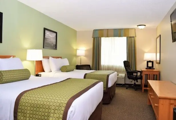 Deluxe Oda, 2 Büyük (Queen) Boy Yatak, Sigara İçilmez