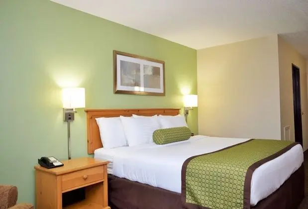 Oda, 1 En Büyük (King) Boy Yatak, Sigara İçilmez