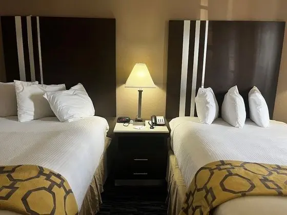 Deluxe Stüdyo Süit, 2 Çift Kişilik Yatak, Sigara İçilmez