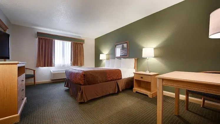 Stüdyo Süit, 1 En Büyük (King) Boy Yatak, Sigara İçilmez