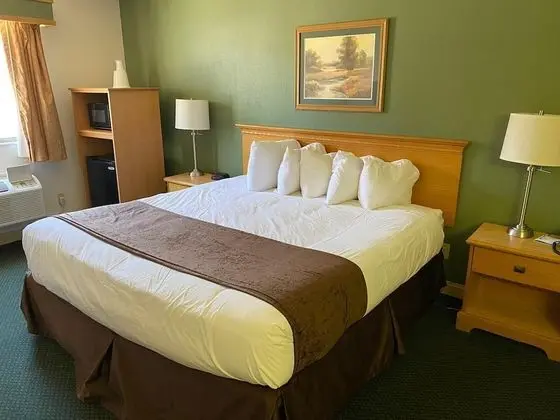 Stüdyo Süit, 1 En Büyük (King) Boy Yatak, Sigara İçilmez