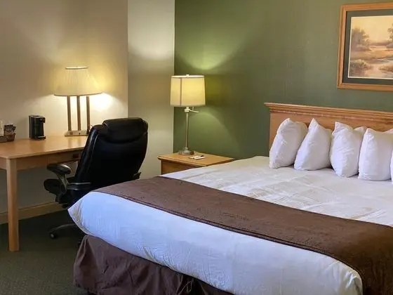 Stüdyo Süit, 1 En Büyük (King) Boy Yatak, Sigara İçilmez