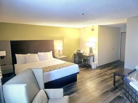 Stüdyo Süit, 1 En Büyük (King) Boy Yatak, Sigara İçilmez, Sıcak Su Küveti