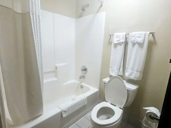 Stüdyo Süit, 1 En Büyük (King) Boy Yatak, Sigara İçilmez, Sıcak Su Küveti