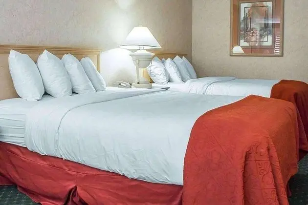 Deluxe Oda, 2 Büyük (Queen) Boy Yatak, Sigara İçilmez