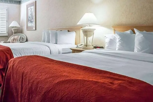 Süit, 1 Yatak Odası, Sigara İçilmez (2 Queen Beds)