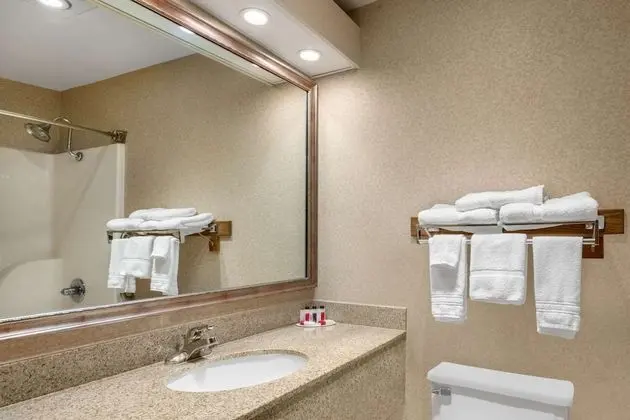 Deluxe Oda, 1 En Büyük (King) Boy Yatak, Sigara İçilmez