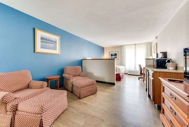 Deluxe Oda, 1 En Büyük (King) Boy Yatak, Sigara İçilmez