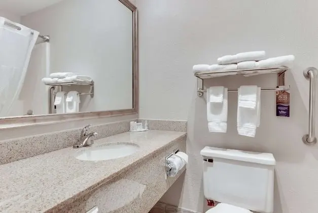 Deluxe Oda, 1 En Büyük (King) Boy Yatak, Sigara İçilmez