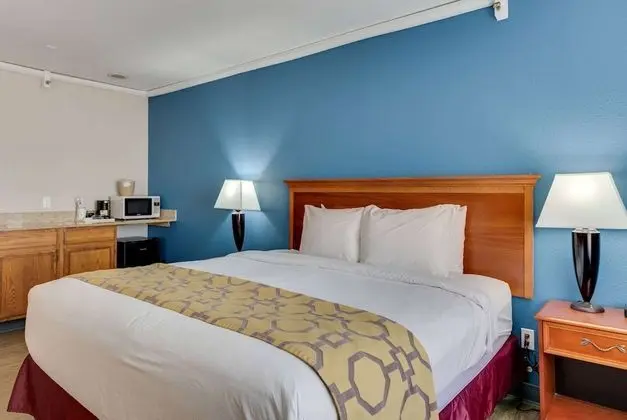 Stüdyo Süit, 1 En Büyük (King) Boy Yatak, Sigara İçilmez