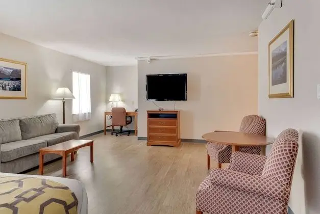 Stüdyo Süit, 1 En Büyük (King) Boy Yatak, Sigara İçilmez