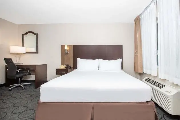 Deluxe Oda, 1 En Büyük (King) Boy Yatak, Engellilere Uygun, Sigara İçilmez (Mobility Accessible)