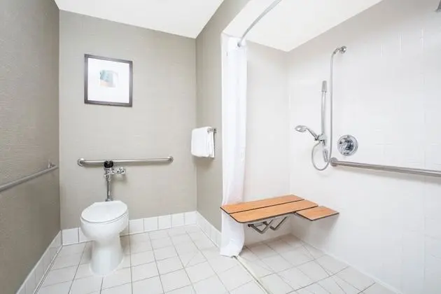 Deluxe Oda, 1 En Büyük (King) Boy Yatak, Engellilere Uygun, Sigara İçilmez (Mobility Accessible)