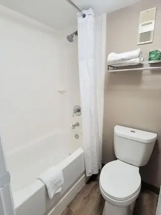 Basic Oda, 1 En Büyük (King) Boy Yatak, Sigara İçilmez