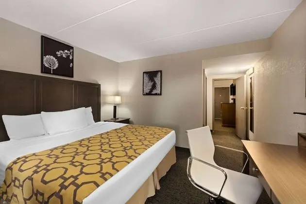 Superior Süit, 1 En Büyük (King) Boy Yatak, Sigara İçilmez (One Bedroom)