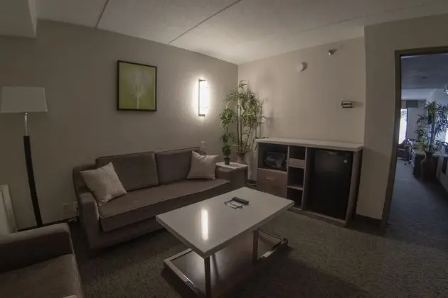 Superior Süit, 1 En Büyük (King) Boy Yatak, Sigara İçilmez (One Bedroom)
