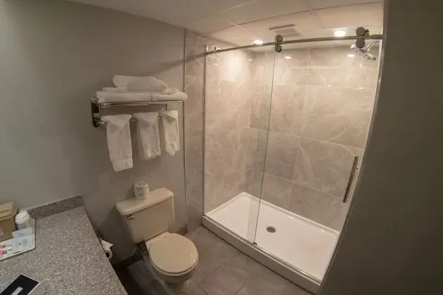 Superior Süit, 1 En Büyük (King) Boy Yatak, Sigara İçilmez (One Bedroom)