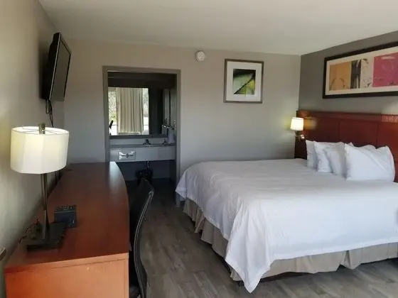 Oda, 1 En Büyük (King) Boy Yatak, Sigara İçilmez