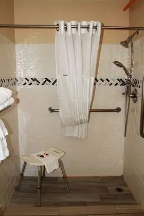 Stüdyo Süit, 2 Büyük (Queen) Boy Yatak, Engellilere Uygun, Sigara İçilmez (Mobility)