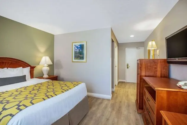 One Queen Bed Mini Suite