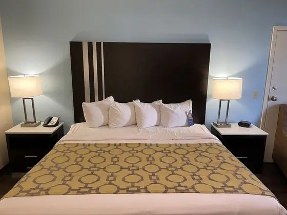 Oda, 1 En Büyük (King) Boy Yatak, Engellilere Uygun, Sigara İçilmez (Mobility Accessible)