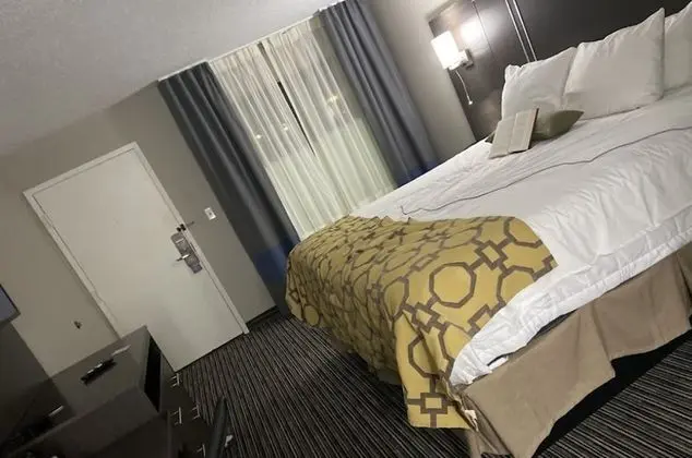 Süit, 1 Yatak Odası, Sigara İçilmez