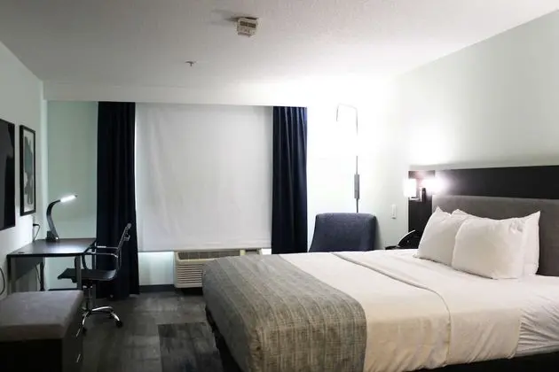 Oda, 1 En Büyük (King) Boy Yatak, Engellilere Uygun, Sigara İçilmez (Mobility)