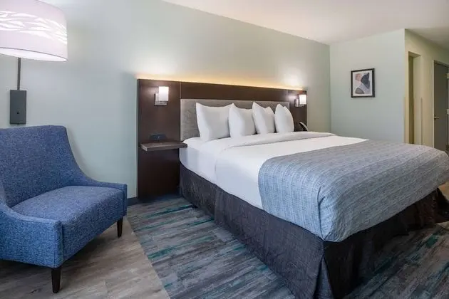 Oda, 1 En Büyük (King) Boy Yatak, Engellilere Uygun, Sigara İçilmez (Mobility)