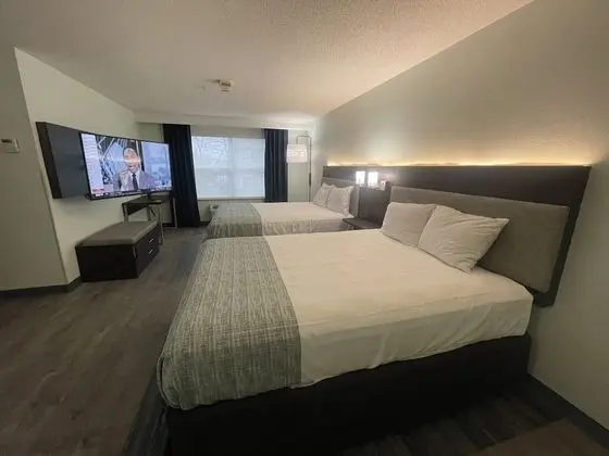 Oda, Birden Çok Yatak, Engellilere Uygun, Sigara İçilmez (Mobility)