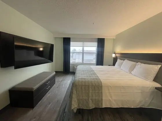 Oda, Birden Çok Yatak, Engellilere Uygun, Sigara İçilmez (Mobility)