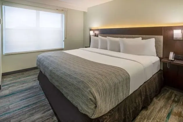 Stüdyo Süit, 1 En Büyük (King) Boy Yatak, Sigara İçilmez