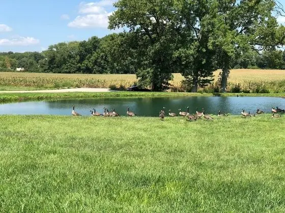 Deluxe Oda, 1 En Büyük (King) Boy Yatak, Sigara İçilmez, Balkon (Water View)