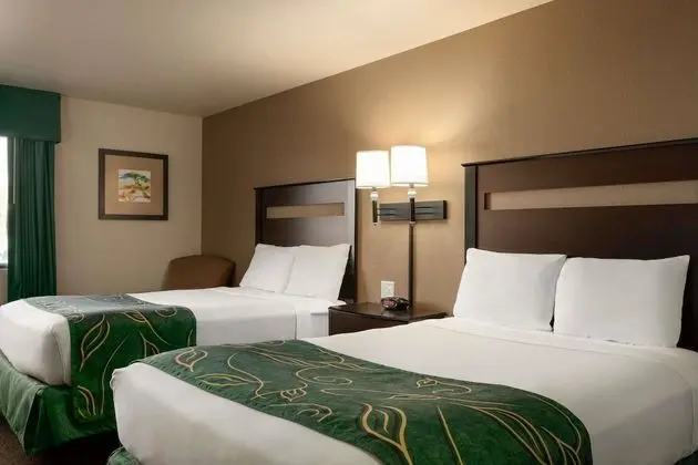 Oda, 2 Çift Kişilik Yatak, Engellilere Uygun, Sigara İçilmez