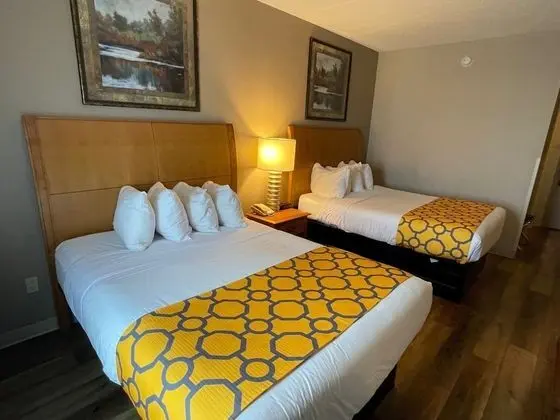 Oda, 2 Büyük (Queen) Boy Yatak, Sigara İçilmez (Pet-Friendly)
