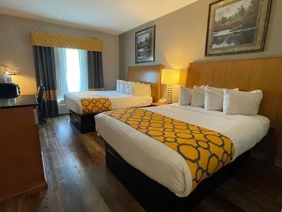 Oda, 2 Büyük (Queen) Boy Yatak, Sigara İçilmez (Pet-Friendly)