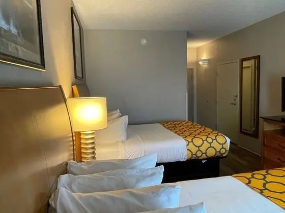 Oda, 2 Büyük (Queen) Boy Yatak, Sigara İçilmez (Pet-Friendly)