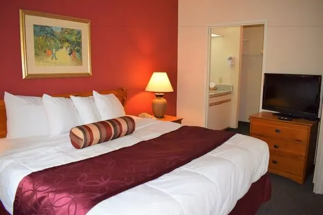 Süit, 1 En Büyük (King) Boy Yatak, Sigara İçilmez (2 Room)