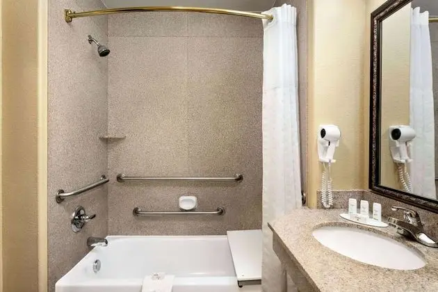 Oda, 1 En Büyük (King) Boy Yatak, Engellilere Uygun (Mobility/Hearing, Roll-In Shower)