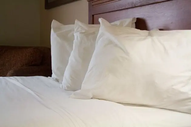 Süit, 1 En Büyük (King) Boy Yatak, Sigara İçilmez