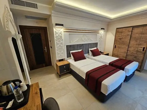 Standart Twin Room, Şehir Manzaralı