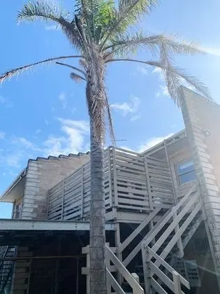 Standard Oda, Mutfak (Portsea - Bayplay Apartment 2)
